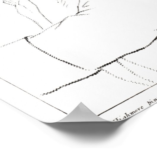 Sir James Thornhill Poster (Ecke)