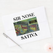 SIR NOSE SATIVA QUADRATISCHER AUFKLEBER (Umschlag)