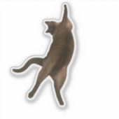Sir PercyPaws - Funny Pose Cat Sticker (Vorderseite)