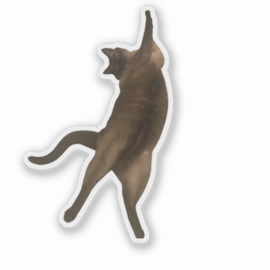 Sir PercyPaws - Funny Pose Cat Sticker (Vorderseite)