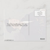 Sir Richard Southwell von Hans Holbein The Young Postkarte (Rückseite)