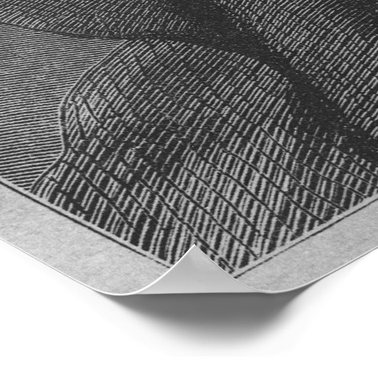 Sir William Paterson Poster (Ecke)