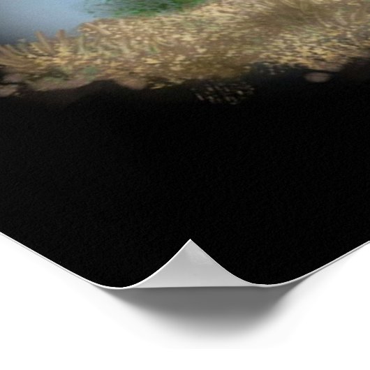 Sirenhead Poster (Ecke)