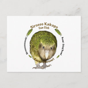 Sirocco Kakapo Postkarte