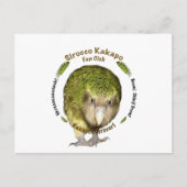 Sirocco Kakapo Postkarte (Vorderseite)