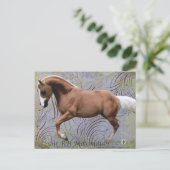 SirRHMaximilian2 Postkarte (Stehend Vorderseite)