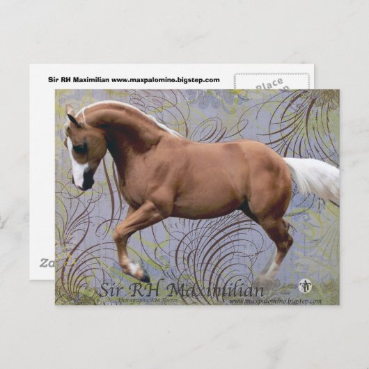 SirRHMaximilian2 Postkarte (Vorne/Hinten)