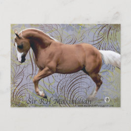 SirRHMaximilian2 Postkarte