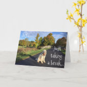 **SIS**, DAS EINEN SCHLAG GENOMMEN HAT, UM "GLÜCKL KARTE (Gelbe Blume)