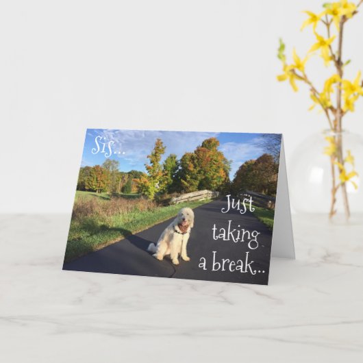 **SIS**, DAS EINEN SCHLAG GENOMMEN HAT, UM "GLÜCKL KARTE (Gelbe Blume)