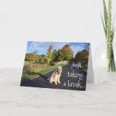 **SIS**, DAS EINEN SCHLAG GENOMMEN HAT, UM "GLÜCKL KARTE (Vorderseite)