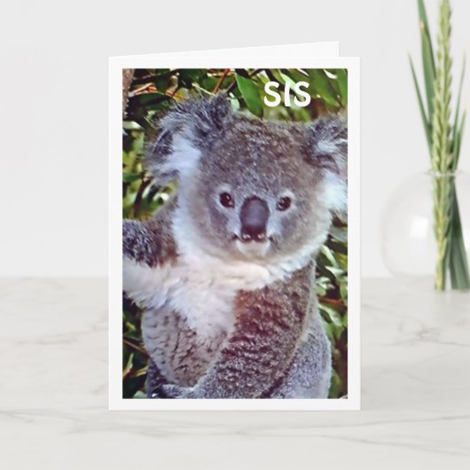 SIS DIESE KOALA BIRTHDAY CARD IST NUR FÜR "SIE"! KARTE (Vorderseite)
