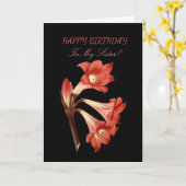Sister Birthday Coral Belladonna Lily Karte (Gelbe Blume)