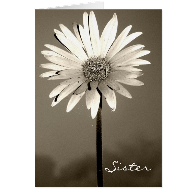 Sister-Blume-Karten (Vorne)