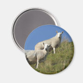 Sister Sheep Magnet (Vorderseite/Rückseite)