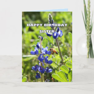 Sister Texas Bluebonnet Happy Birthday Karte
