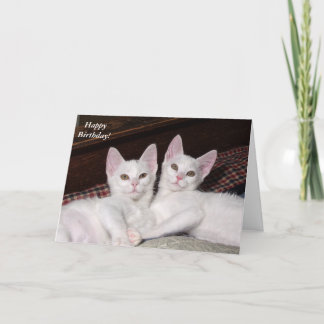 Sisterly Liebe Twins Cat Birthday Card Karte