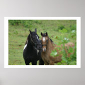 Sisters Liebe Poster (Vorne)