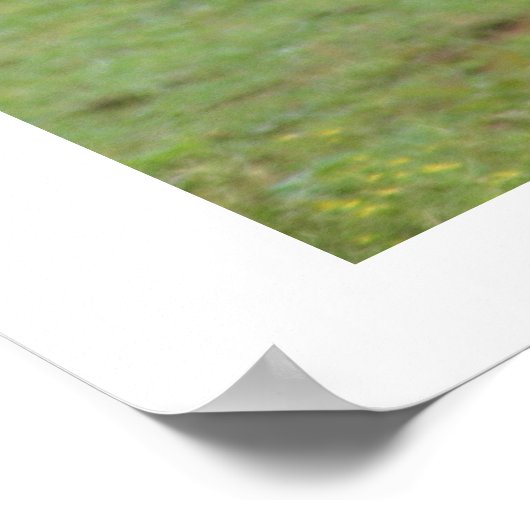 Sisters Liebe Poster (Ecke)