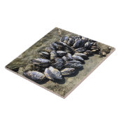 Sisters Rock State Park Oregon Coast Fliese (Seite)