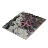 Sisters Rock State Park Oregon Coast Fliese (Seite)