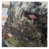 Sisters Rock State Park Oregon Coast Fliese (Vorderseite)