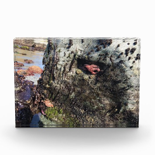 Sisters Rock State Park Oregon Coast Fotoblock (Vorderseite)