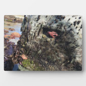 Sisters Rock State Park Oregon Coast Fotoplatte (Vorderseite)