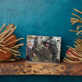 Sisters Rock State Park Oregon Coast Fotoplatte (Seite)