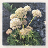 Sisters Rock State Park Oregon Coast Glasuntersetzer (Vorderseite)