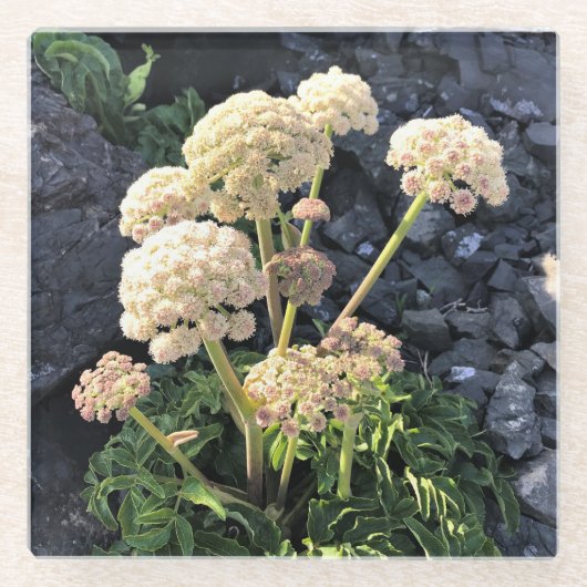 Sisters Rock State Park Oregon Coast Glasuntersetzer (Vorderseite)