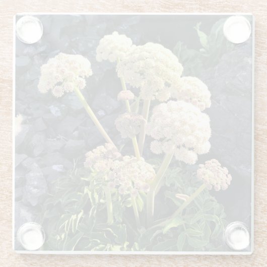 Sisters Rock State Park Oregon Coast Glasuntersetzer (Rückseite)