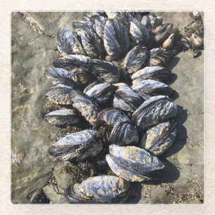 Sisters Rock State Park Oregon Coast Glasuntersetzer