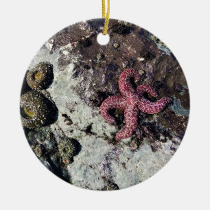 Sisters Rock State Park Oregon Coast Keramik Ornament