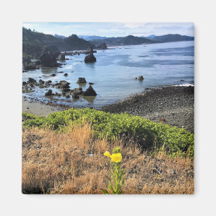 Sisters Rock State Park Oregon Coast Magnet