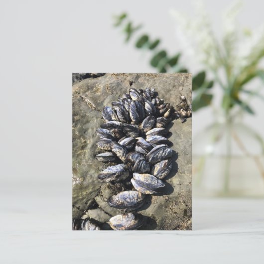 Sisters Rock State Park Oregon Coast Postkarte (Stehend Vorderseite)