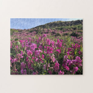 Sisters Rock State Park Oregon Coast Puzzle