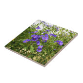 Sisyrinchium Angustifolium Keramik Tile Fliese (Seite)