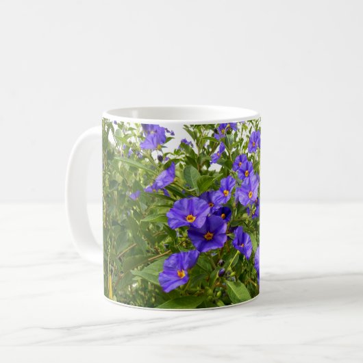 Sisyrinchium Angustifolium Tasse (Vorderseite Links)