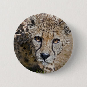 Sita-Abzeichen Button