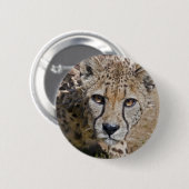 Sita Abzeichen Button (Vorne & Hinten)