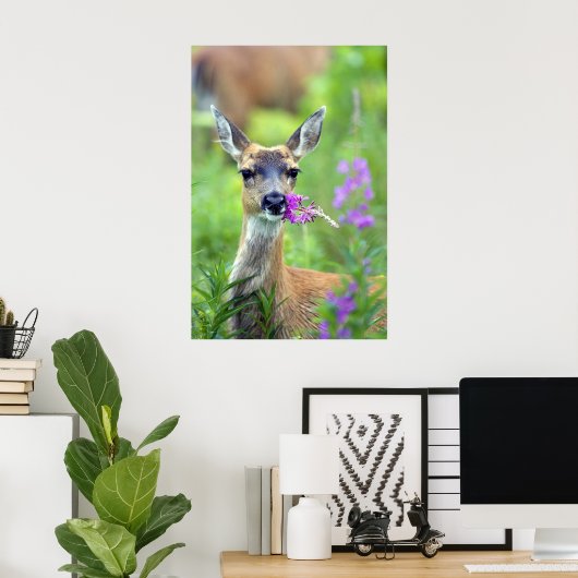 Sitka Black Tails Deer Poster (Heimbüro)