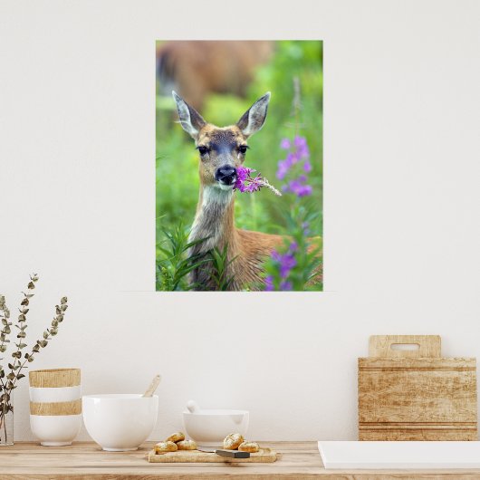 Sitka Black Tails Deer Poster (Küche)
