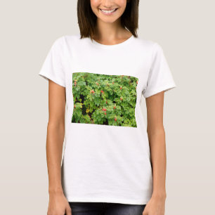 Sitka Rose Bush mit vielen Rote Rosen Hips Nah-up T-Shirt