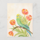 Sittich mit Tulpen Postkarte (Vorderseite)