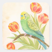 Sittich mit Tulpen Quadratischer Aufkleber (Vorderseite)
