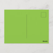 Sittich-Vogel  Postkarte (Rückseite)