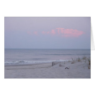 Sittin auf den Dünen