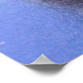 Sitting Baboon Poster (Ecke)