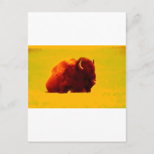 Sitting Bison Postkarte